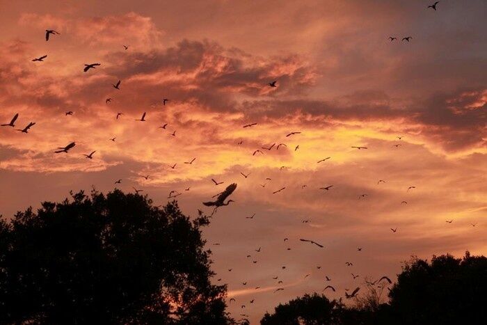Freedom begins with responsible travel